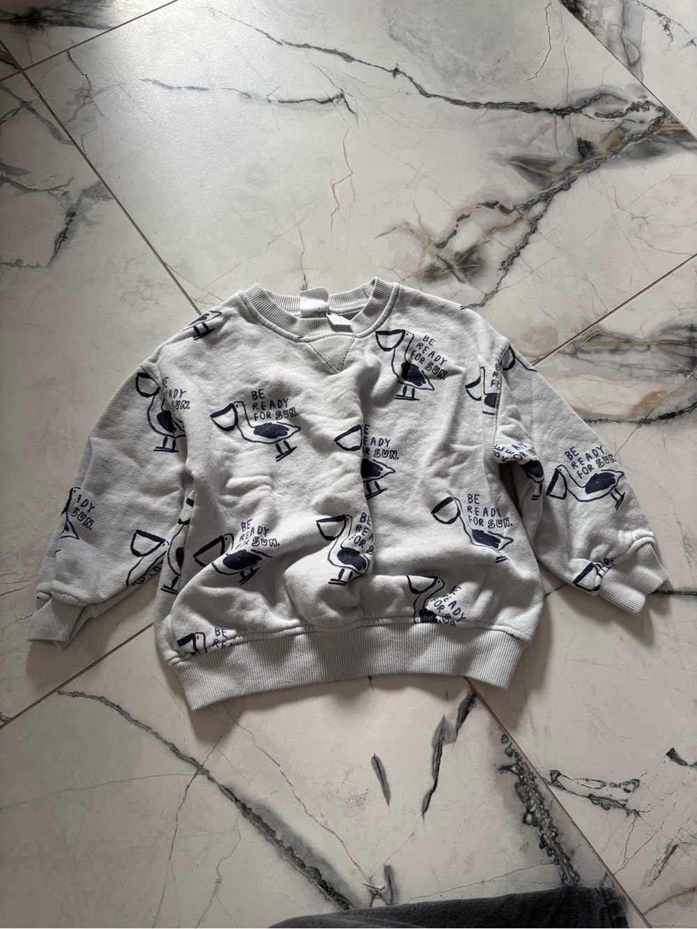 Zara Light Gray Crewneck Sweater with Navy Bird Graphics